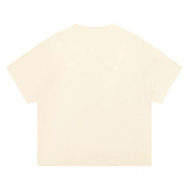 Saotome T