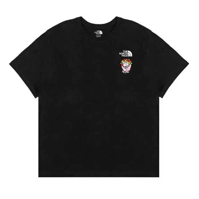 THE NORTH FACE Extraordinary T