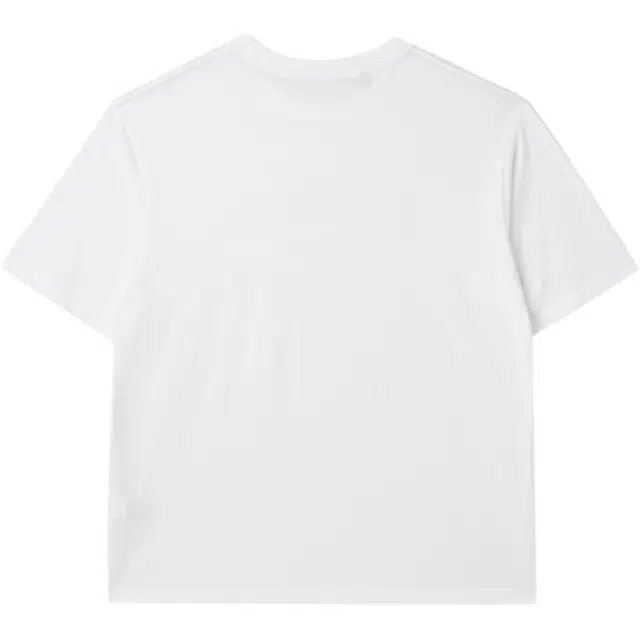 GUESS T