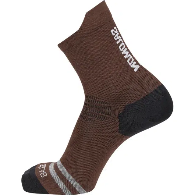SALOMON 1