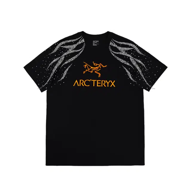 Arcteryx ARCWORD LOGO LogoT