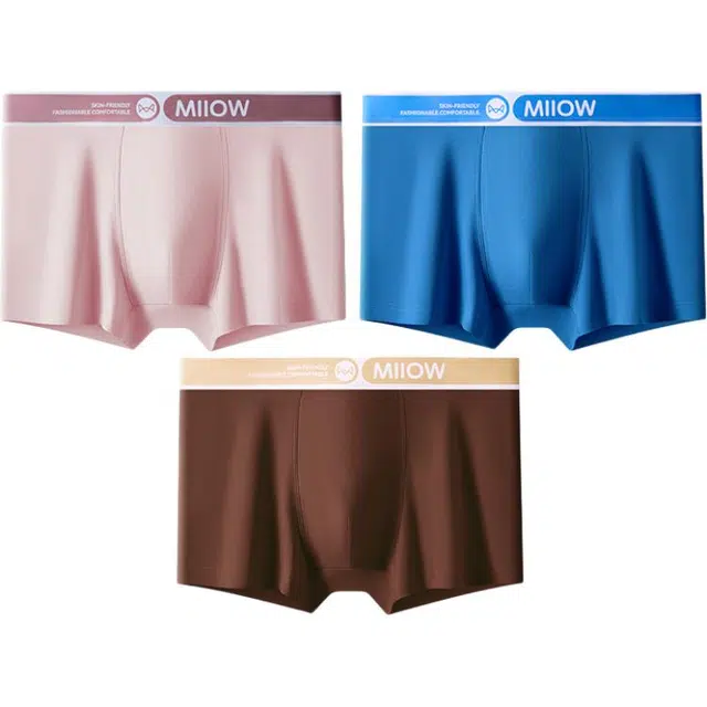 MIIOW 10A 3