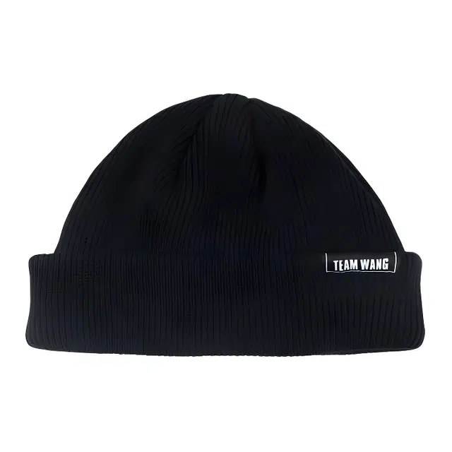 TEAM WANG BEANIE Logo