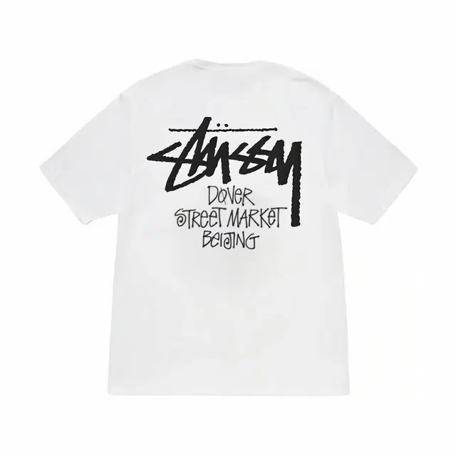 Stussy SS25 DSM logoT