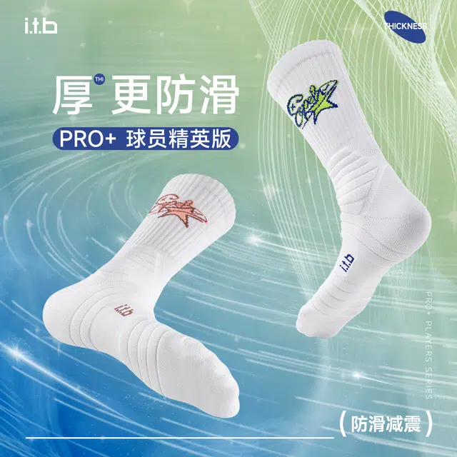 itb 1.0 PRO+ 3