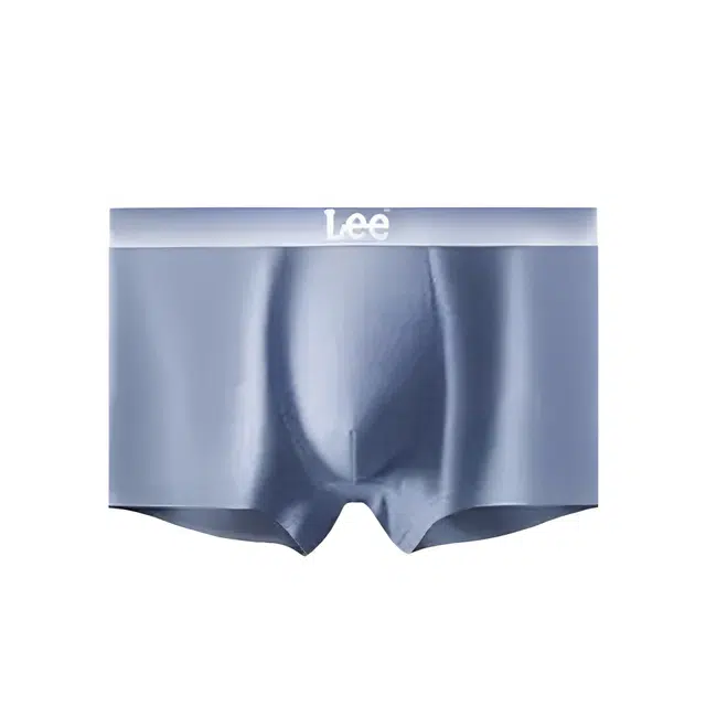 Lee 3
