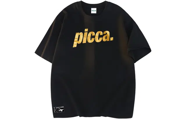 Picca logoT