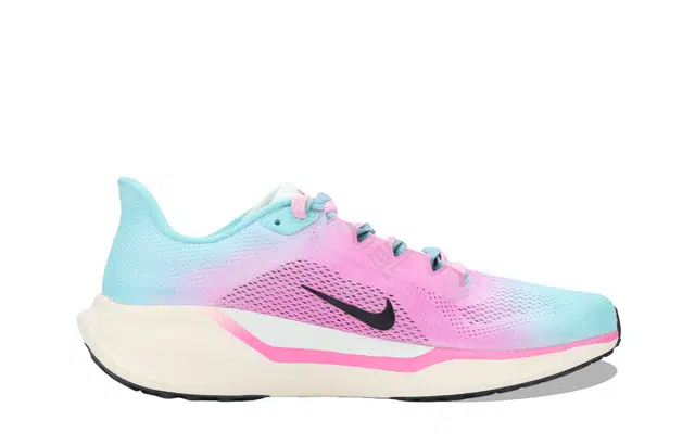 Nike Air Zoom Pegasus 41