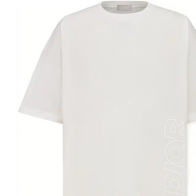 DIOR PARLEY SS22 LogoT