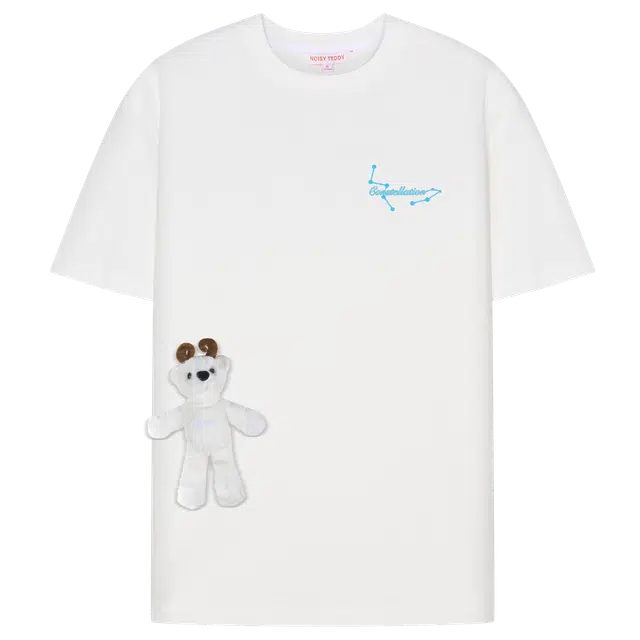 NOISY TEDDY T