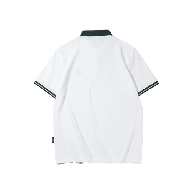 HLA POLO