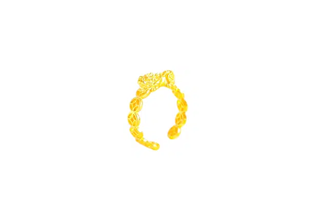 迎百宝 财源滚滚 貔极泰来 好运 新中式国潮招财转运貔貅吞金兽金币铜钱开口戒指 精致秀气蛇年本命招财只进不出指圈 男女同款情侣款