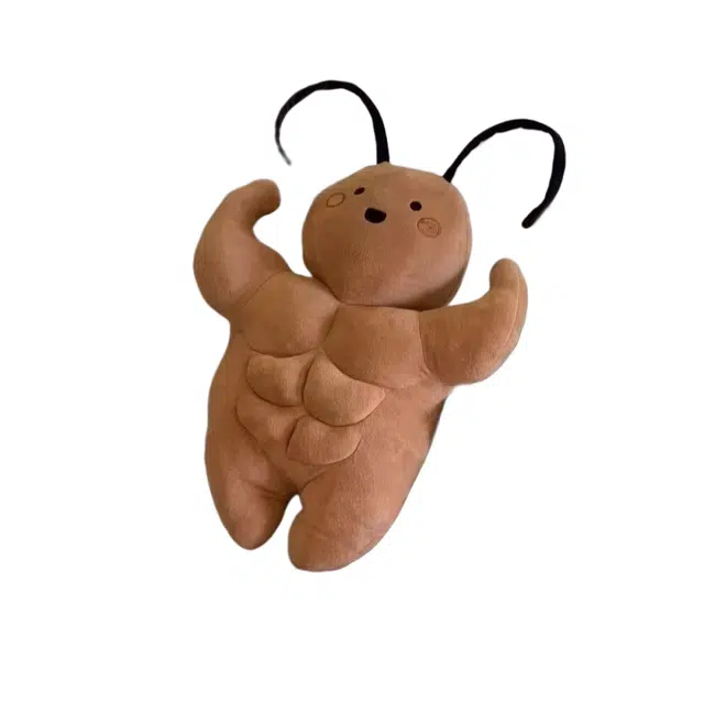 Jinnew 36cm56cm