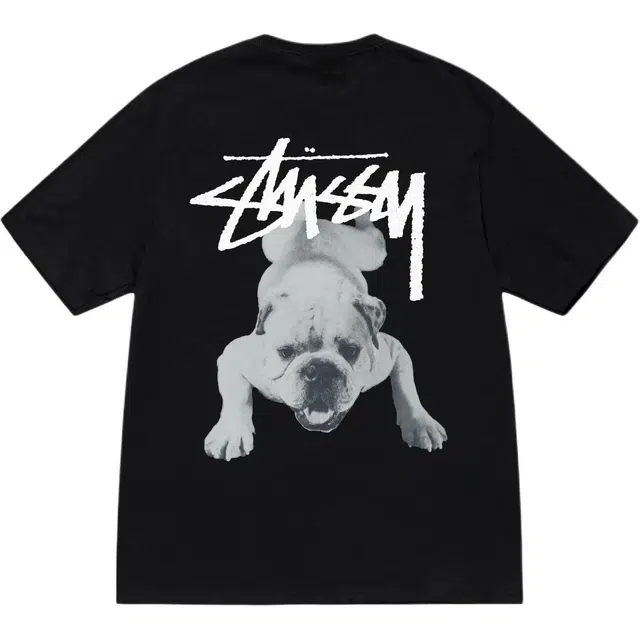 Stussy SS25 Stock Dog Tee