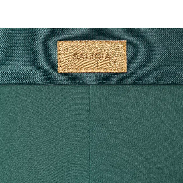 SALIGIA