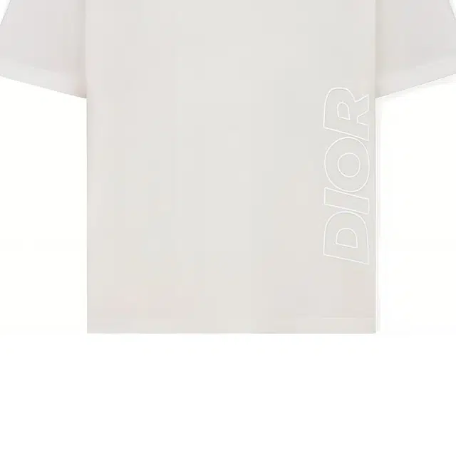 DIOR PARLEY SS22 LogoT
