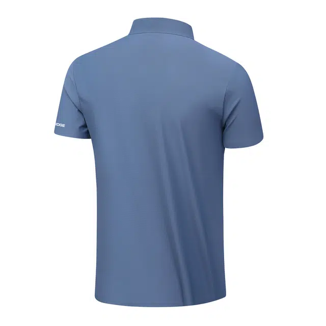 MindBridge LogoPolo