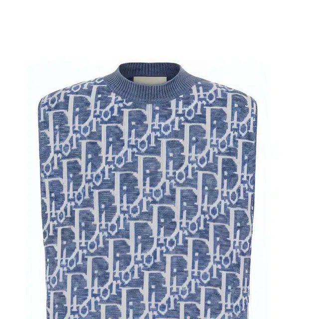 DIOR SS23 Logo