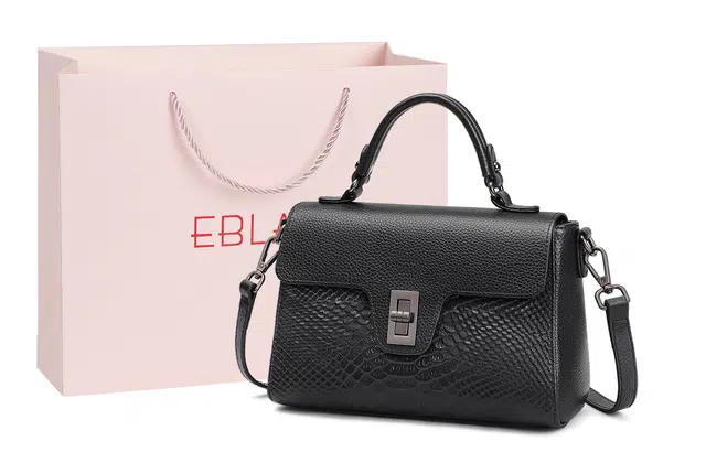 EBLAN ins