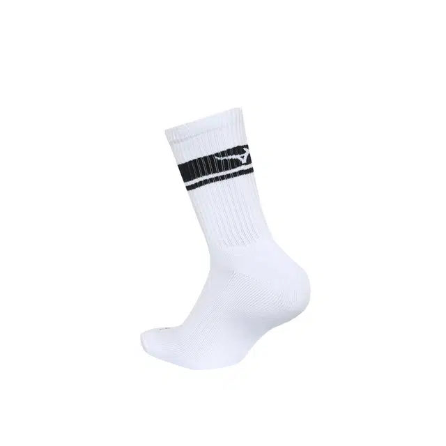 Mizuno STRIPE CUSHION SOCKS 1