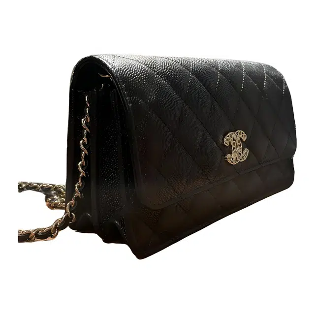 CHANEL WOC 25p