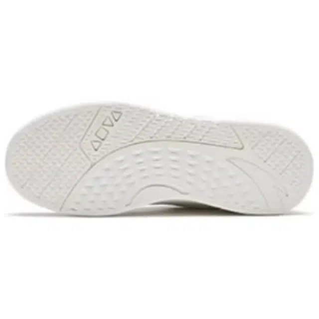 Anta