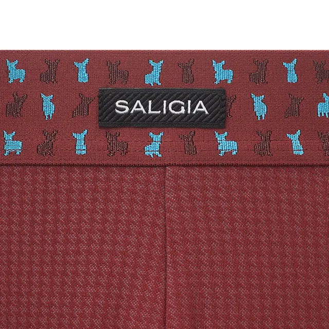 SALIGIA
