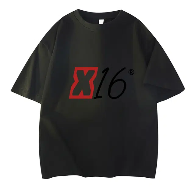 X1617 230T