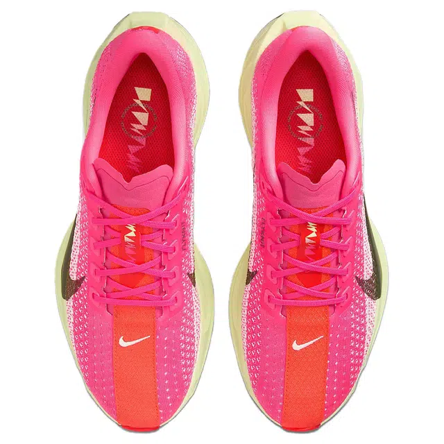 Nike Pegasus Plus