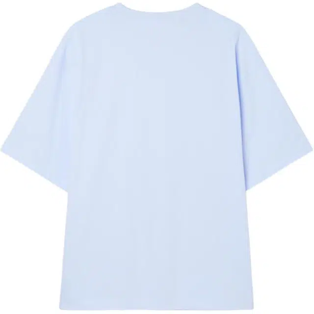 GUESS T