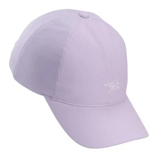 Arcteryx Logo