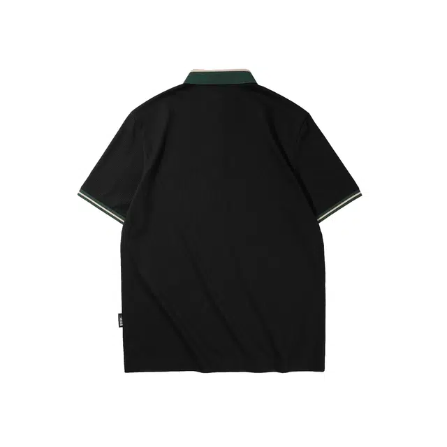 HLA POLO