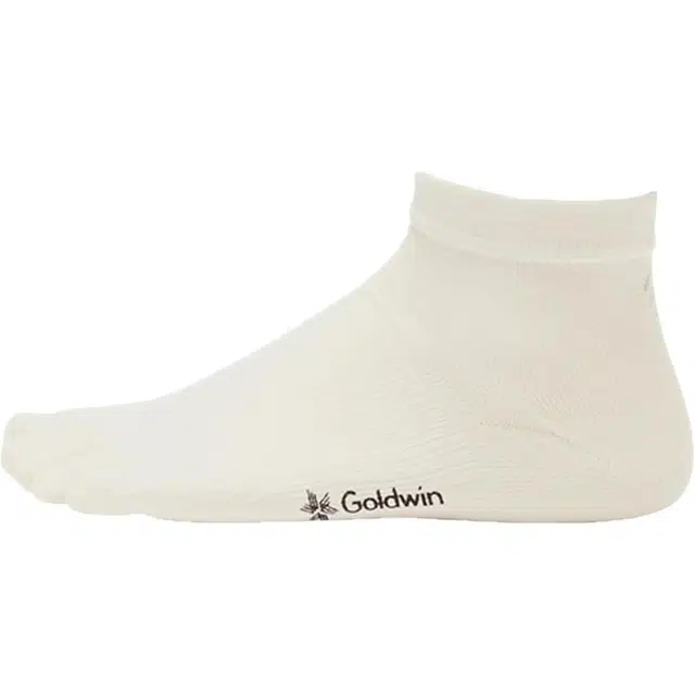 Goldwin Logo 1