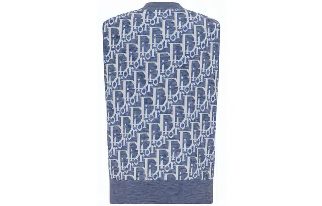 DIOR SS23 Logo