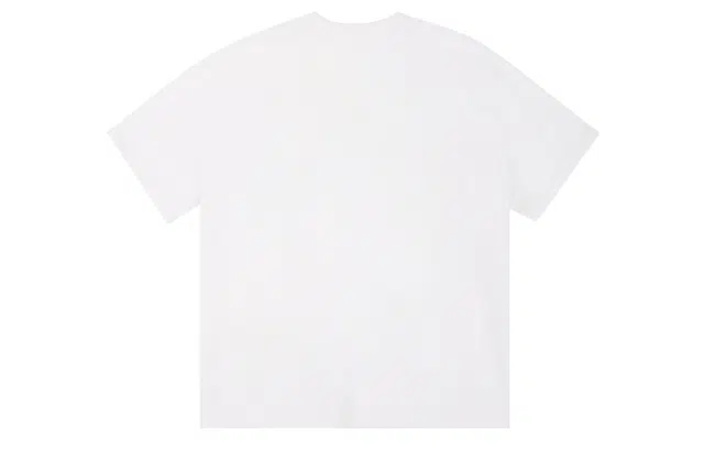 ICONS Lab T