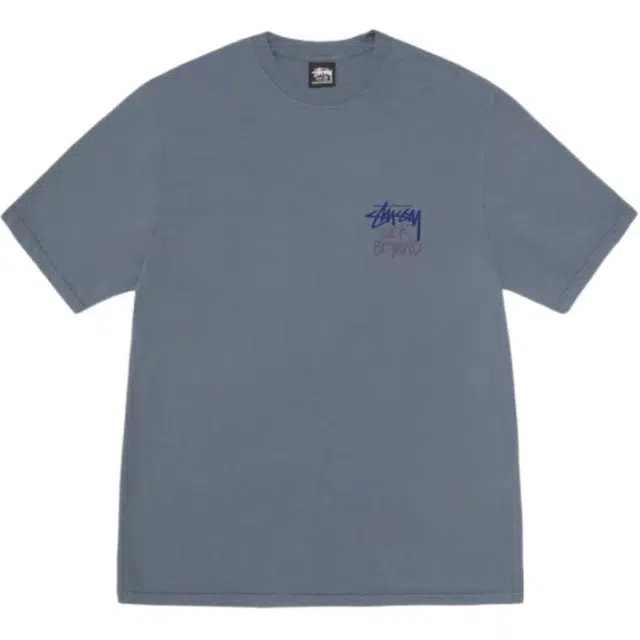 Stussy Look Beyond Tee Pigment Dyed LogoT