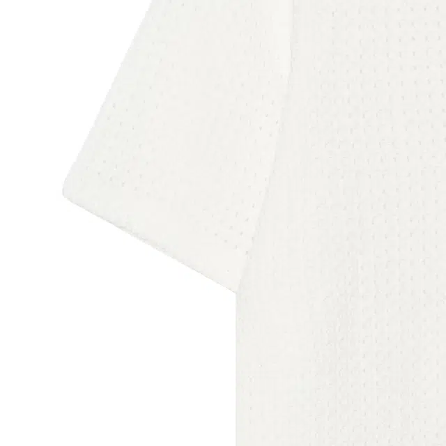 HERMES Polo