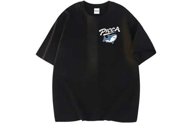 Picca logoT