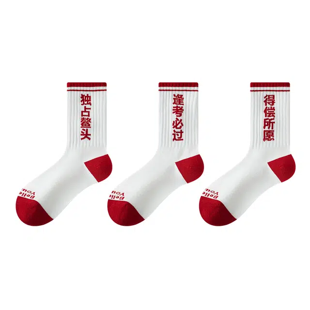 潇潇玲珑阁 考试袜子逢考必过高考加油状元金榜题名中筒袜 男女同款 组合装