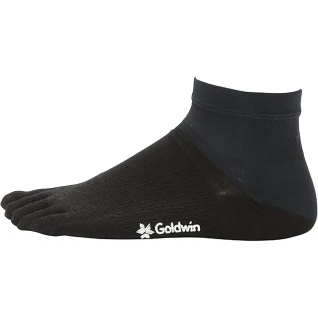 Goldwin Logo 1