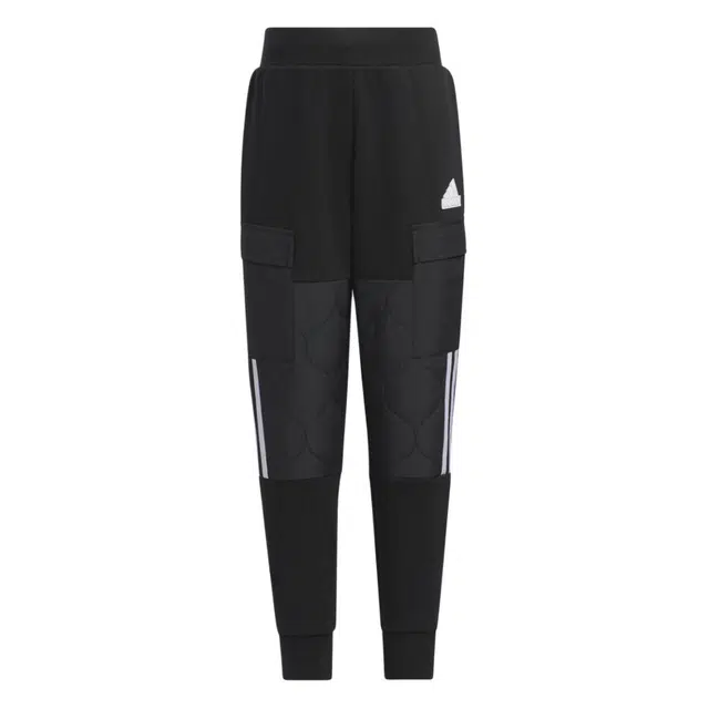 adidas Urban Outdoor Pants