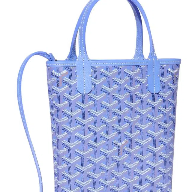 GOYARD SAC POITIERS PM Tote