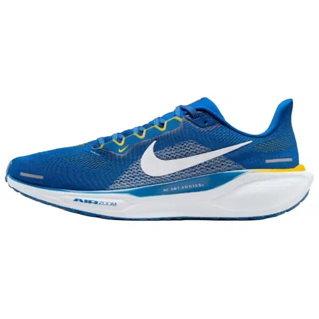 Nike Air Zoom Pegasus 41