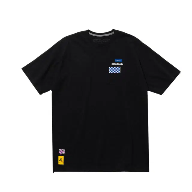 patagonia T