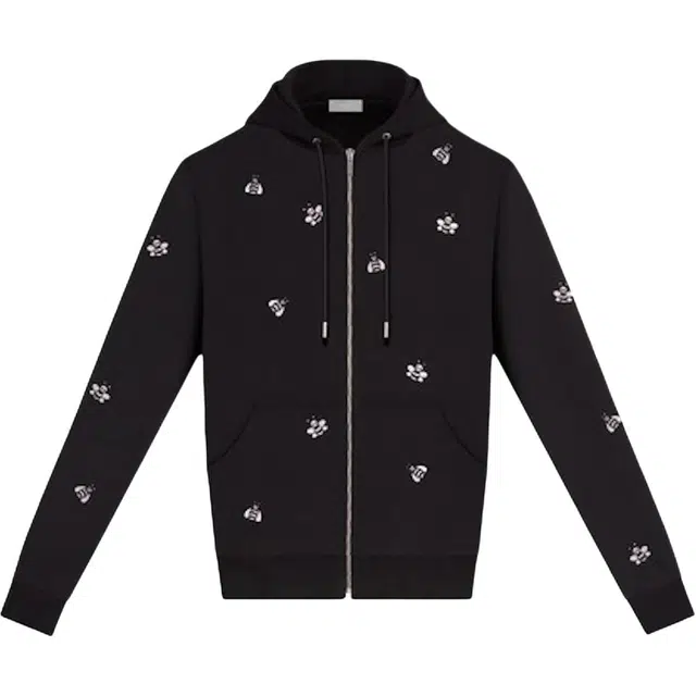 KAWS x DIOR