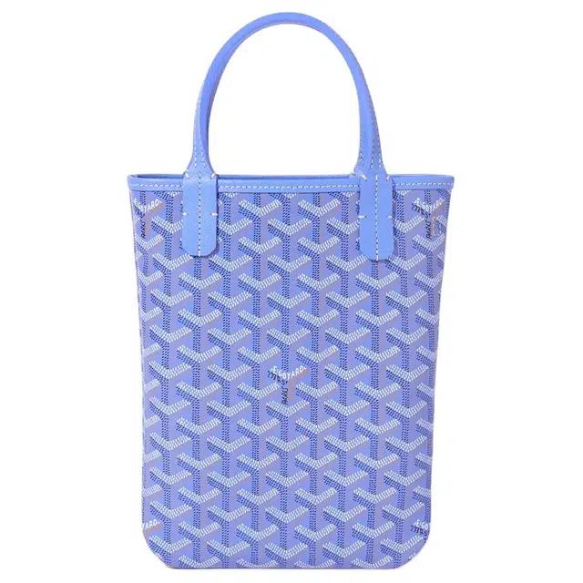GOYARD SAC POITIERS PM Tote