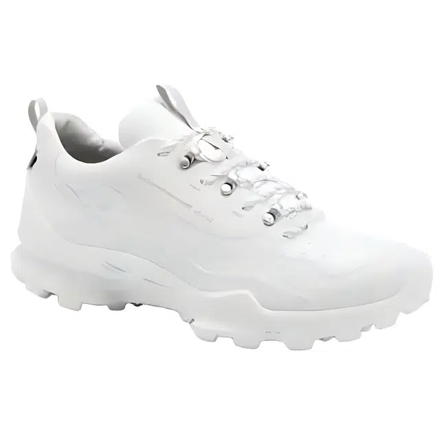 White Mountaineering ecco Biom C Trail