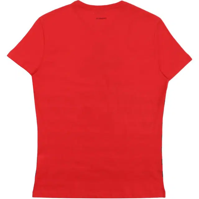 iceberg T