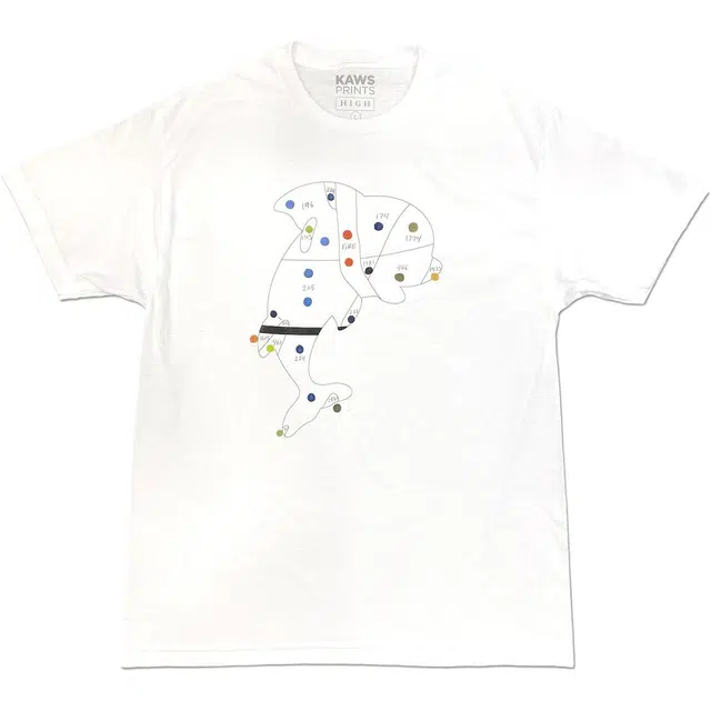 KAWS T