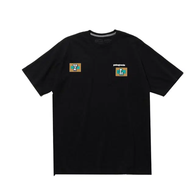 patagonia T
